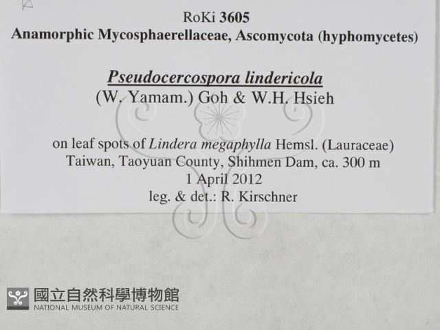 登錄號:F0027908藏品圖，第3張