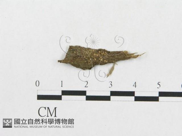 登錄號:F0007908藏品圖，第1張