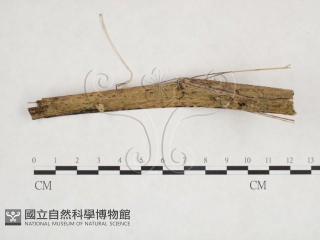 登錄號:F0025908藏品圖，第1張