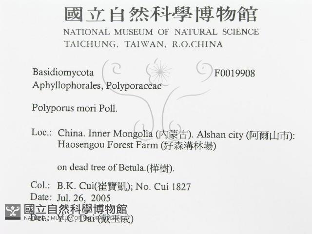 登錄號:F0019908藏品圖，第3張