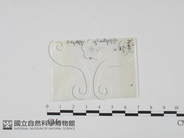 登錄號:F0000608藏品圖，第1張