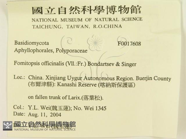登錄號:F0017608藏品圖，第3張