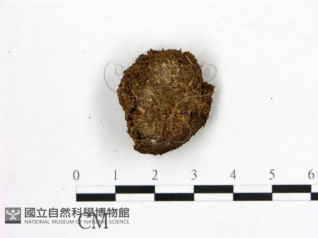 登錄號:F0000708藏品圖，第1張