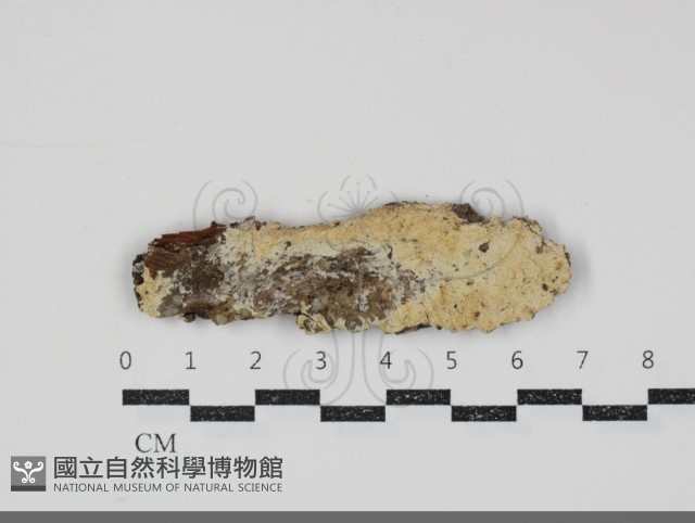 登錄號:F0034708藏品圖，第1張