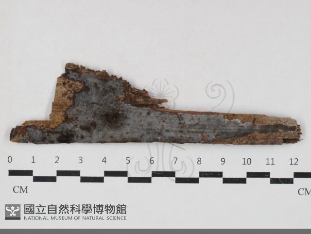 登錄號:F0033708藏品圖，第1張