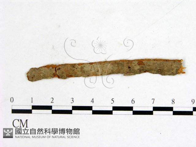 登錄號:F0011508藏品圖，第1張