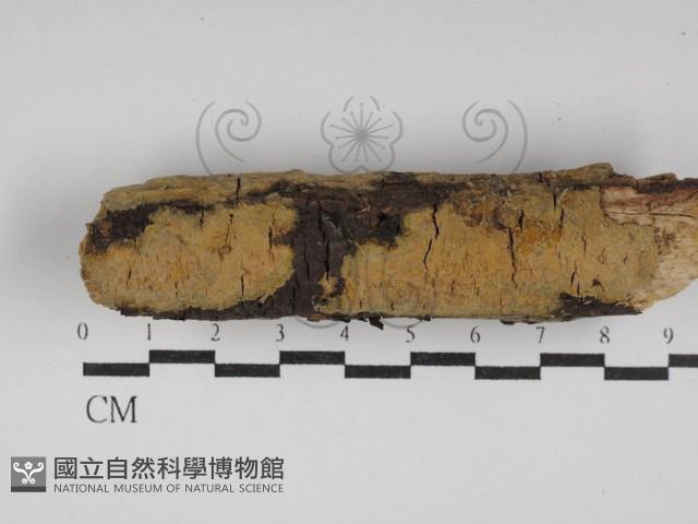 登錄號:F0030008藏品圖，第1張