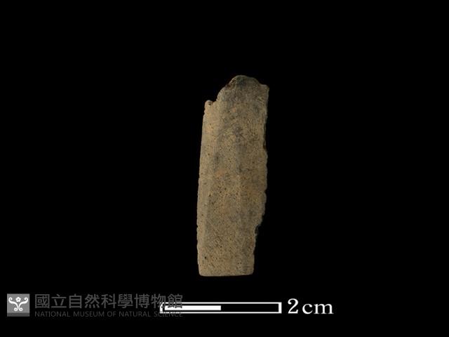 矛鏃形器藏品圖，第2張