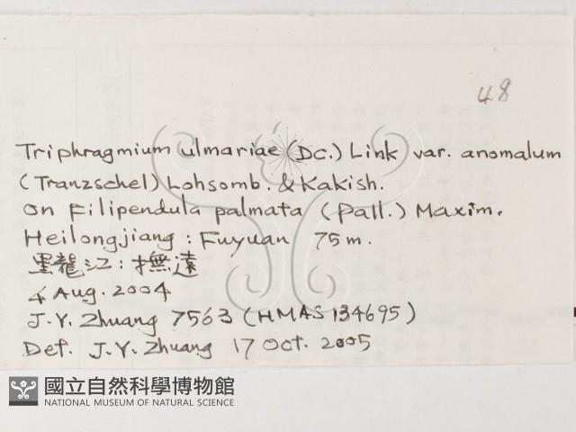 登錄號:F0026218藏品圖，第3張