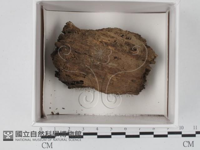 登錄號:F0021218藏品圖，第1張