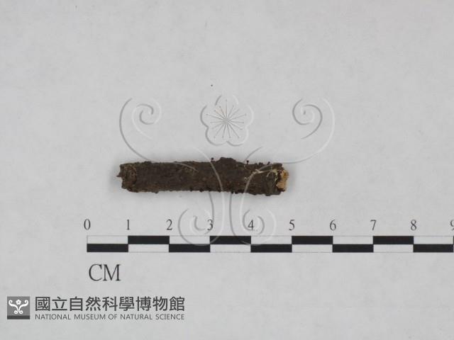 登錄號:F0025218藏品圖，第1張