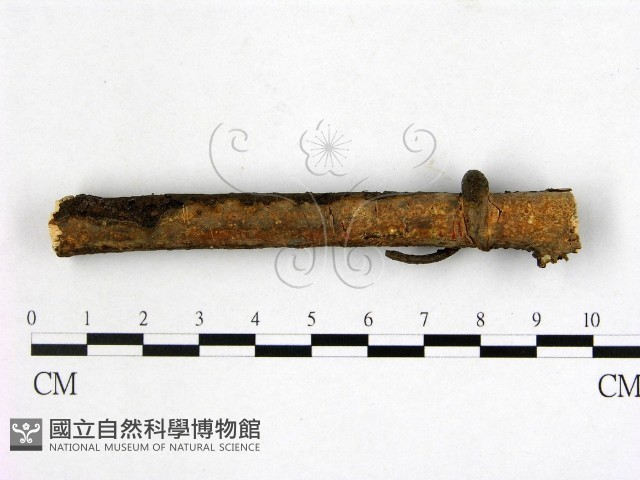 登錄號:F0014818藏品圖，第1張