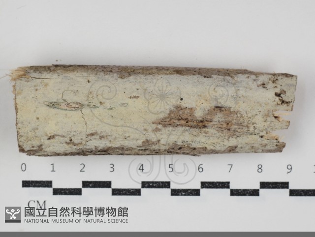 登錄號:F0034818藏品圖，第1張