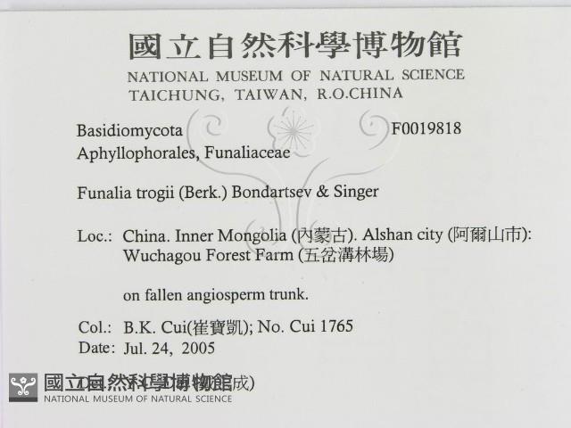 館號:F0019818藏品圖，第3張