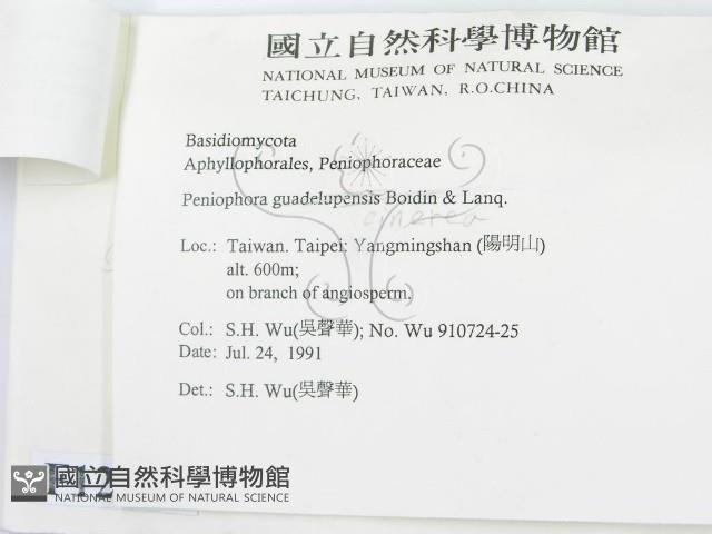 登錄號:F0012918藏品圖，第3張