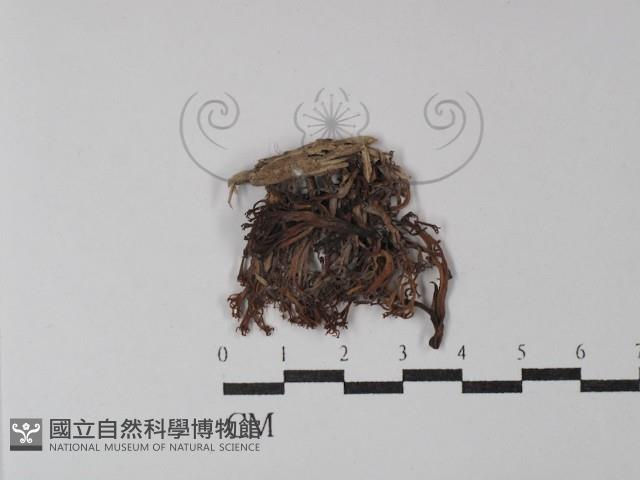 登錄號:F0029918藏品圖，第1張