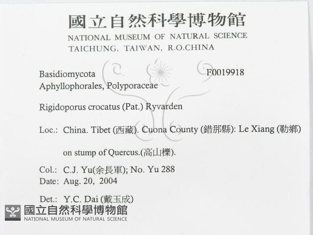登錄號:F0019918藏品圖，第3張