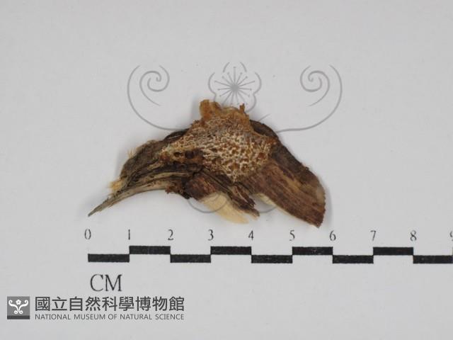 登錄號:F0030618藏品圖，第1張