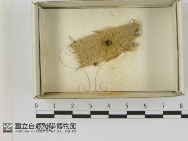 登錄號:F0021618藏品圖，第1張