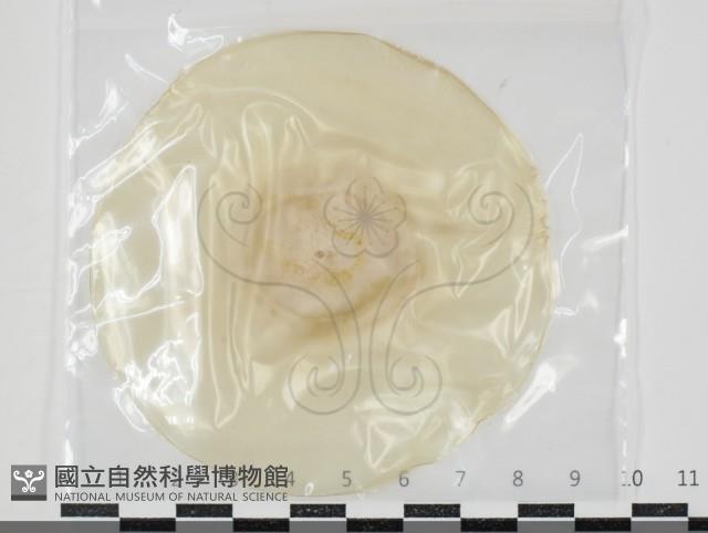 登錄號:F0034618藏品圖，第1張