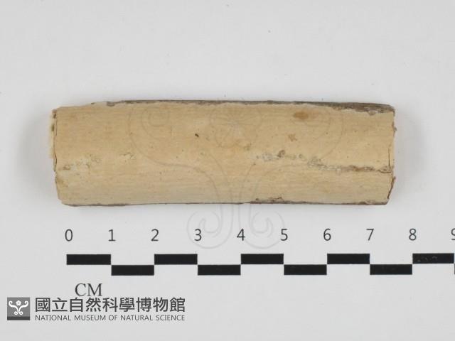 登錄號:F0032618藏品圖，第1張