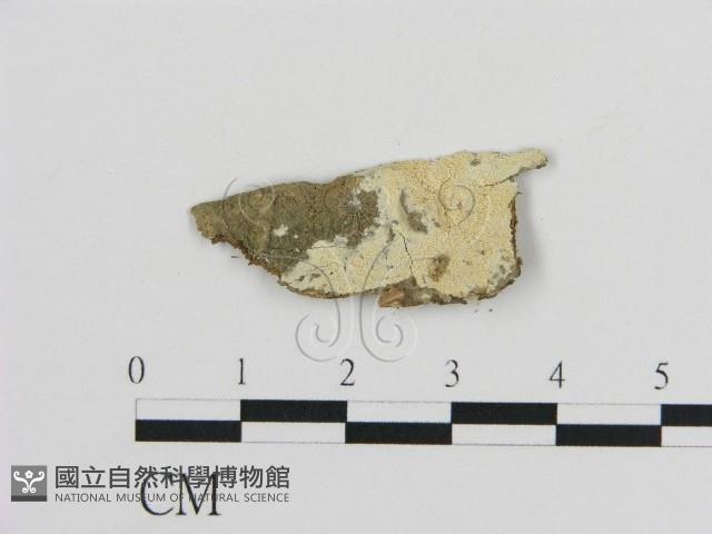 登錄號:F0020418藏品圖，第1張