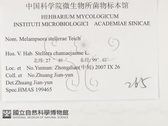 登錄號:F0026418藏品圖，第3張