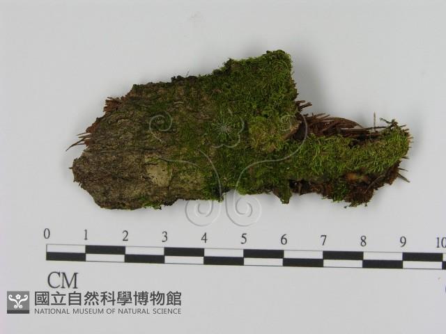 登錄號:F0021418藏品圖，第1張
