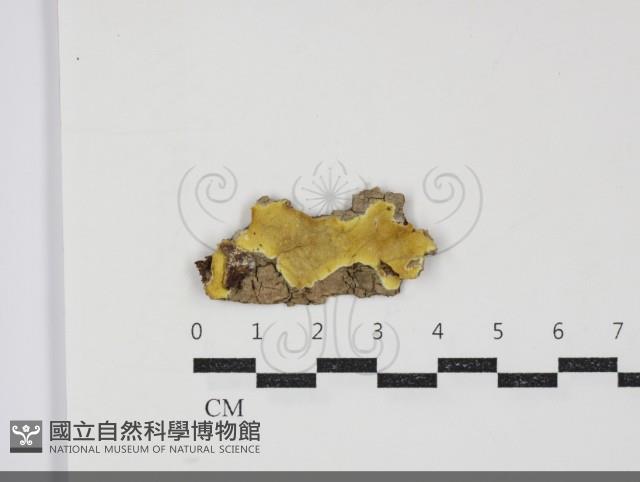 登錄號:F0034418藏品圖，第1張