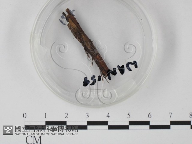 登錄號:F0003418藏品圖，第1張
