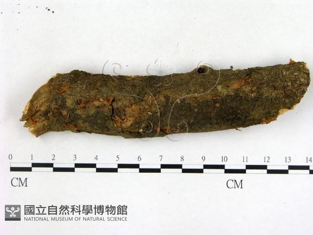 登錄號:F0001718藏品圖，第1張