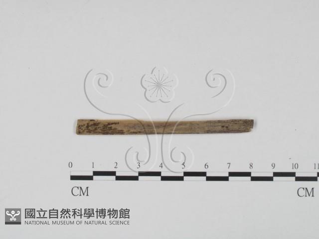 登錄號:F0011718藏品圖，第1張