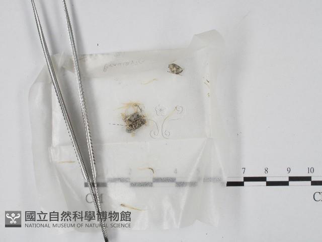 登錄號:F0004718藏品圖，第1張