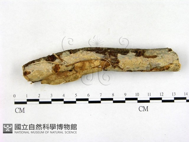 登錄號:F0022718藏品圖，第1張