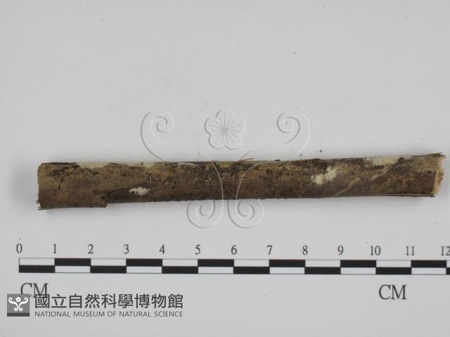 登錄號:F0002718藏品圖，第1張