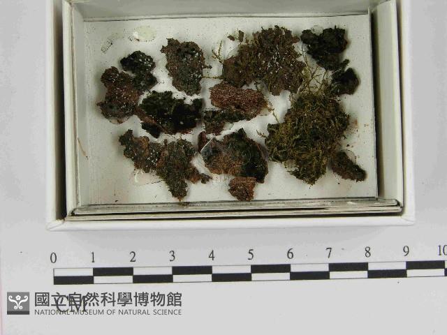 登錄號:F0021518藏品圖，第1張