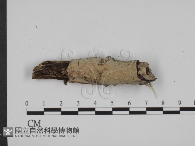 登錄號:F0001518藏品圖，第1張