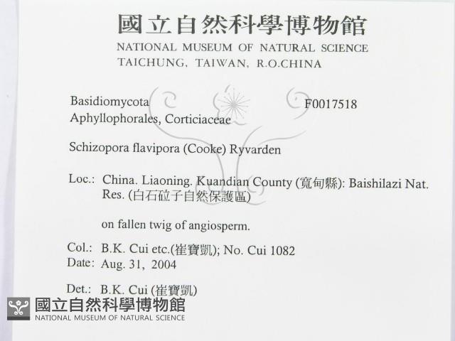 登錄號:F0017518藏品圖，第3張