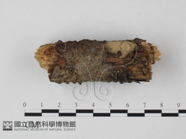登錄號:F0022118藏品圖，第1張