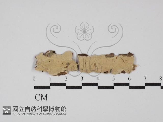 登錄號:F0012118藏品圖，第1張