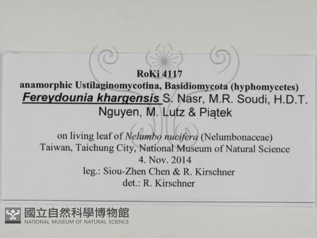 登錄號:F0031018藏品圖，第3張