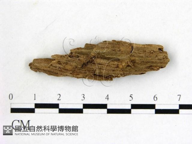 登錄號:F0022018藏品圖，第1張