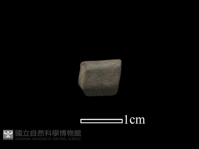 陶環藏品圖，第1張