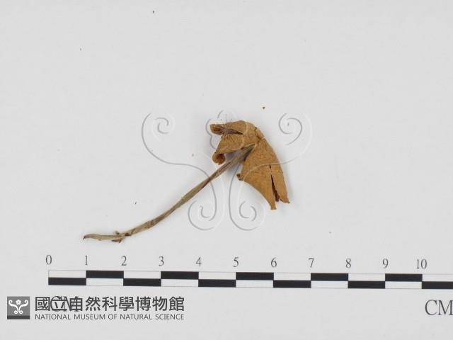 登錄號:F0024258藏品圖，第1張