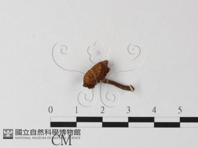 登錄號:F0022258藏品圖，第1張