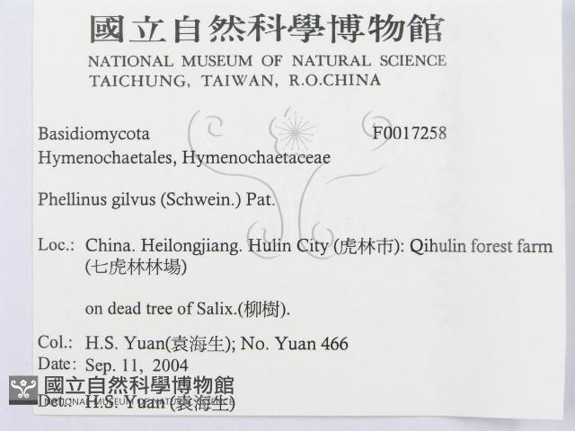 登錄號:F0017258藏品圖，第3張