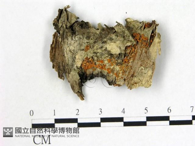 登錄號:F0015258藏品圖，第1張
