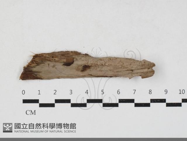 登錄號:F0033858藏品圖，第1張