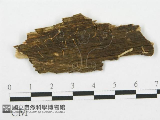 登錄號:F0008958藏品圖，第1張