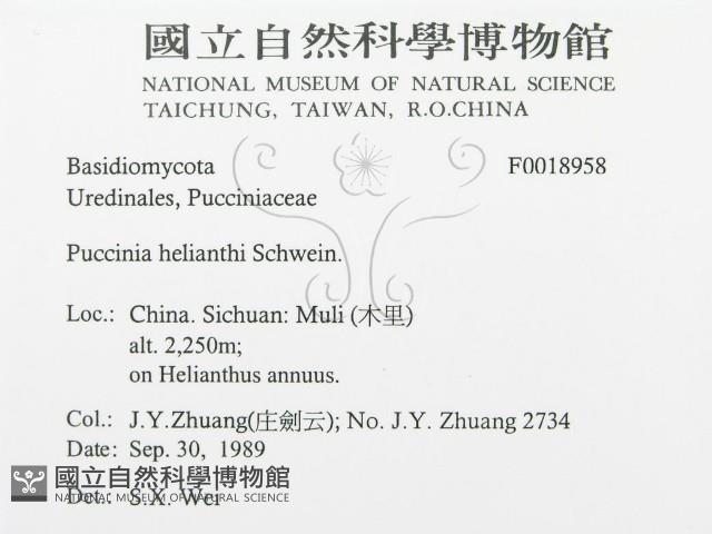 登錄號:F0018958藏品圖，第3張
